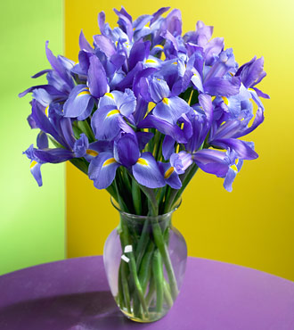 30 Blue Irises